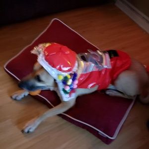 Meet your Posher, Becky